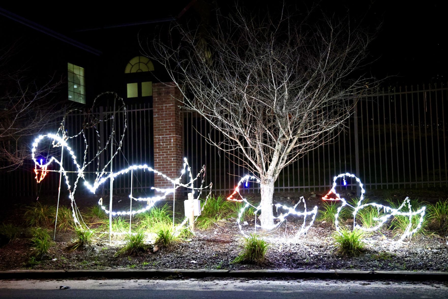 Orangeburg Christmas Lights